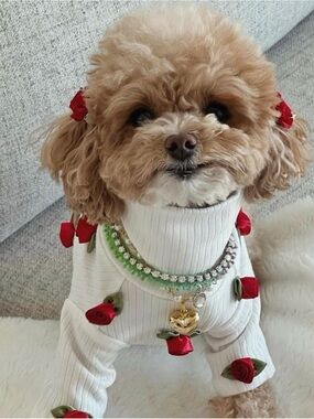 White Turtleneck Dog Sweater with Red Rose Accents